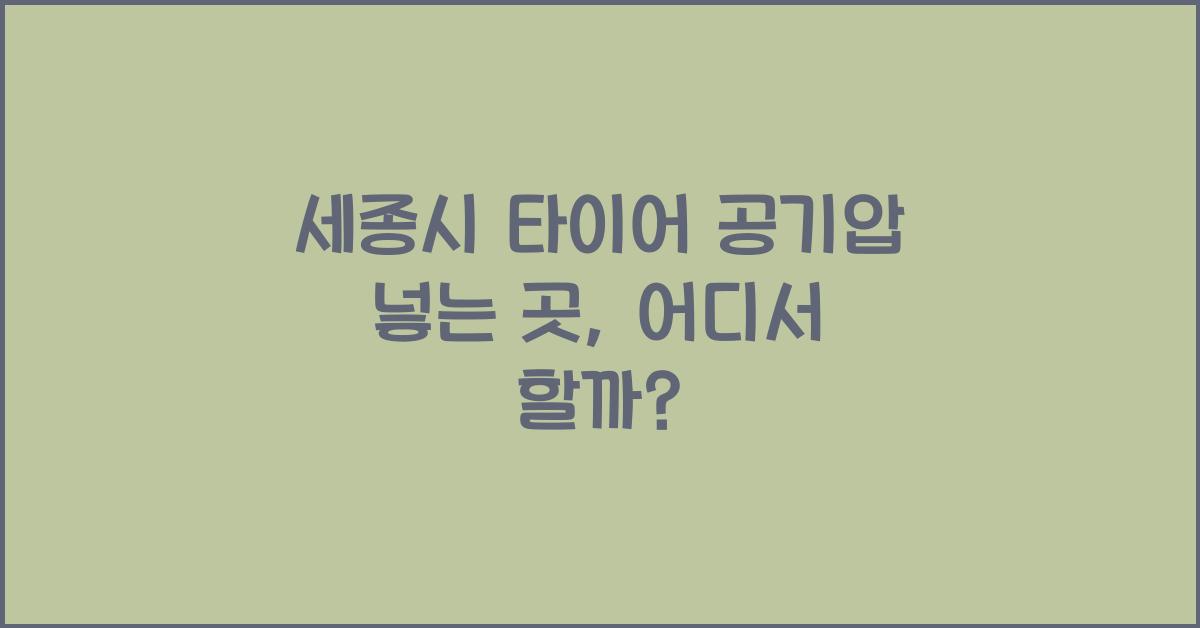 세종시 타이어 공기압 넣는 곳