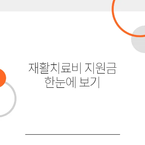 재활치료비 지원금 한눈에 보기, 모르면 내 돈 날립니다!