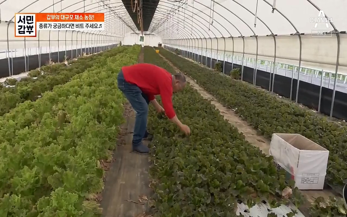 서민 갑부.E389.220626p-NEXT.mp4_20220626_182536.525.jpg