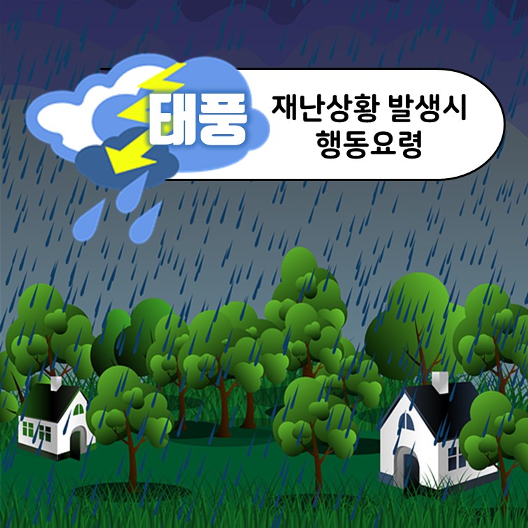 비-집