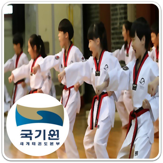 태권도 단증 조회 방법 A to Z(태권도 품 vs 단 차이) 태권도 단증 조회 방법 A To Z(태권도 품 Vs 단 차이)