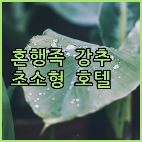 미니 호텔 센트럴, 혼행족에게 강추?