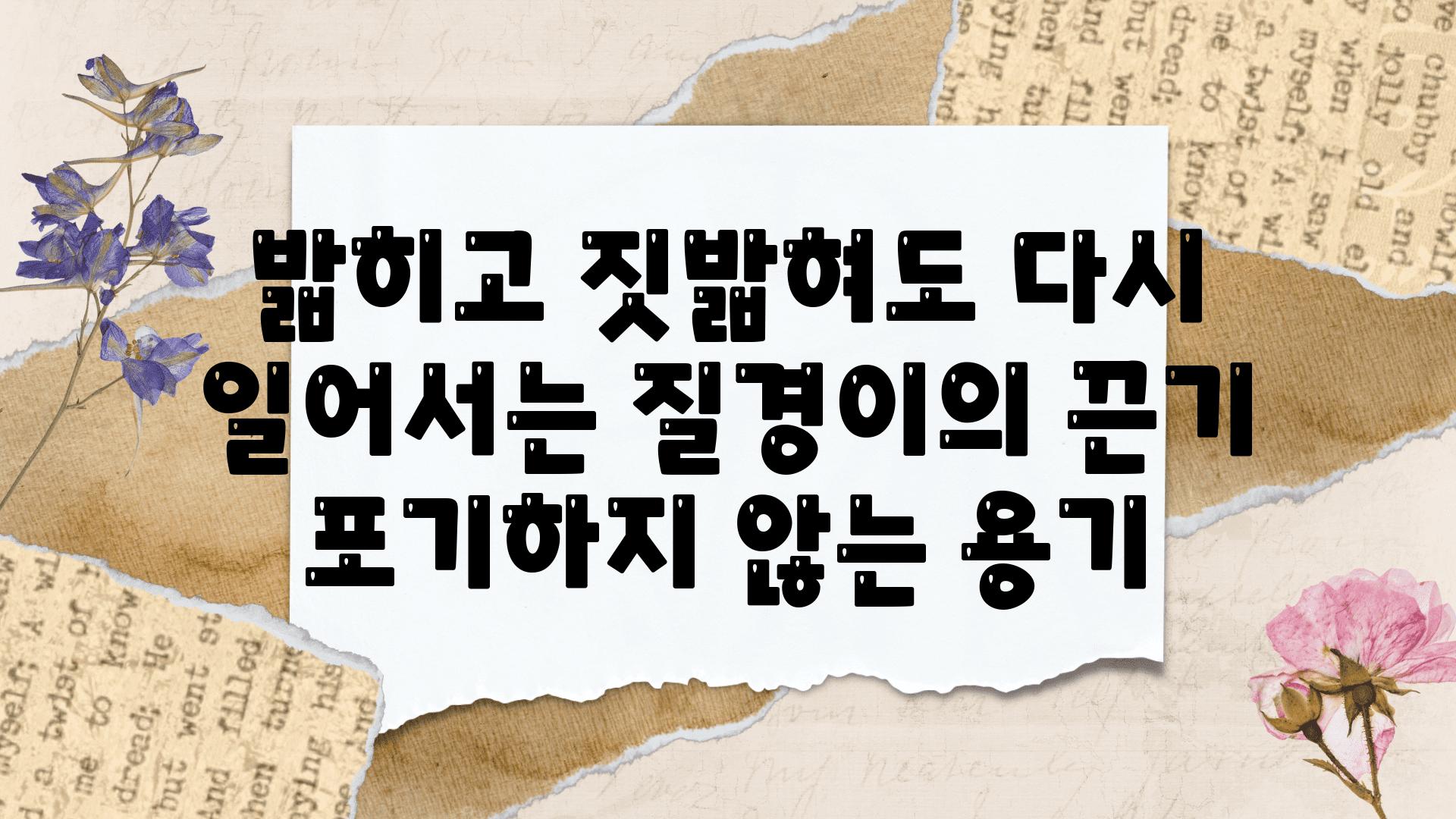 밟히고 짓밟혀도 다시 일어서는 질경이의 끈기 포기하지 않는 용기