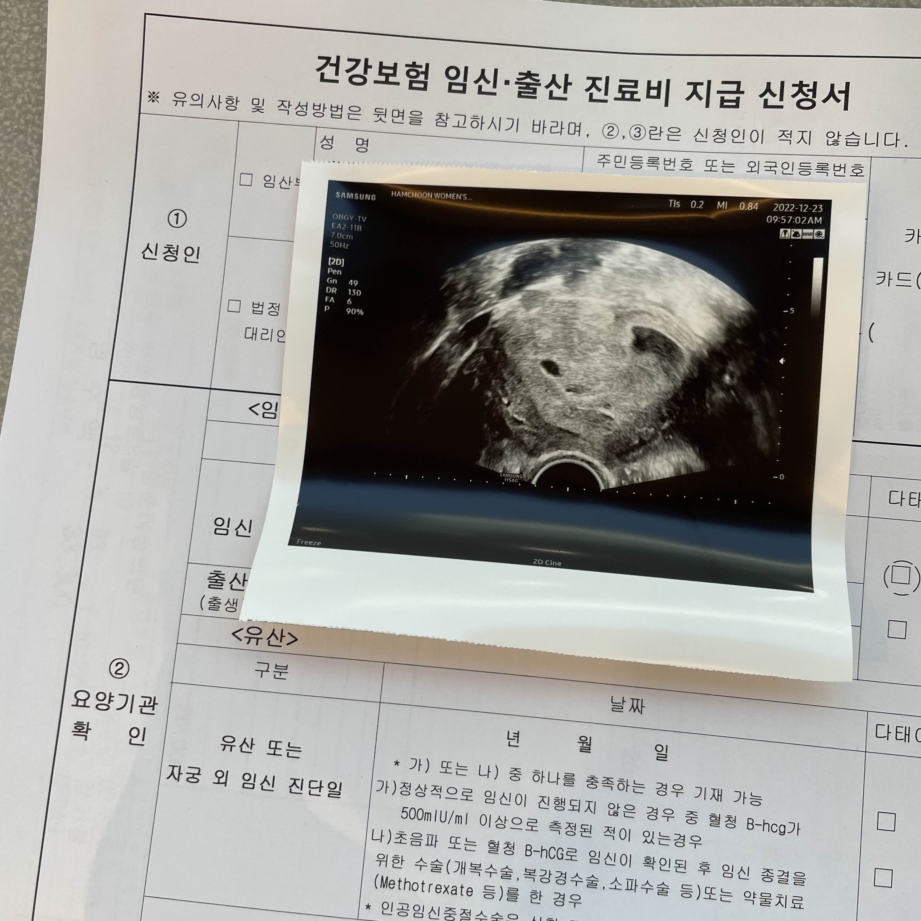 건강보험 임신출산 진료비 지급 신청서