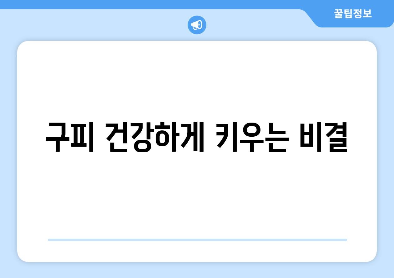 구피, 건강하게 키우는 비결