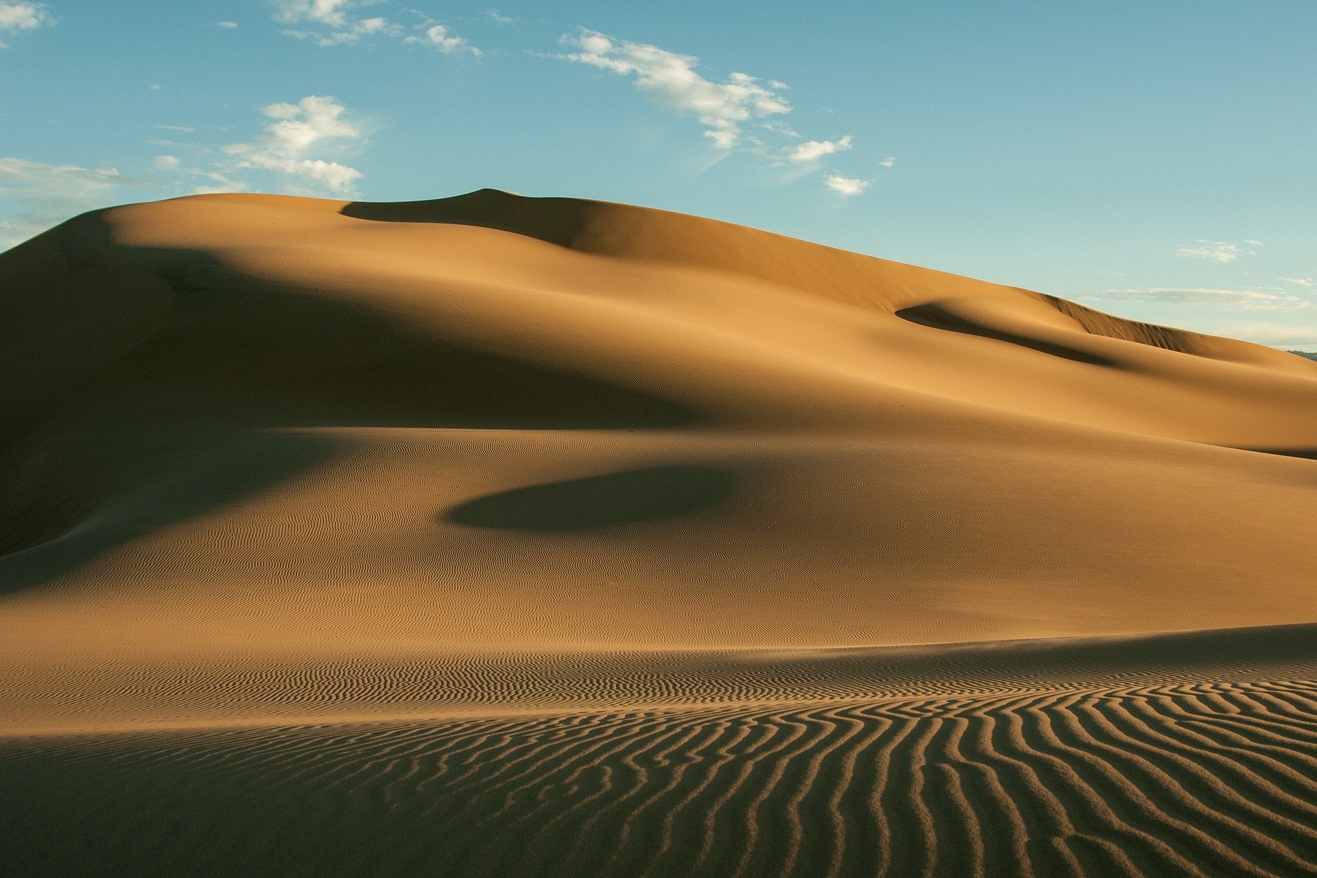 몽골의 고비사막