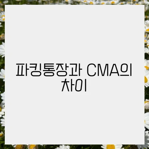 파킹통장과 CMA의 차이, 블로그에서 확인하기