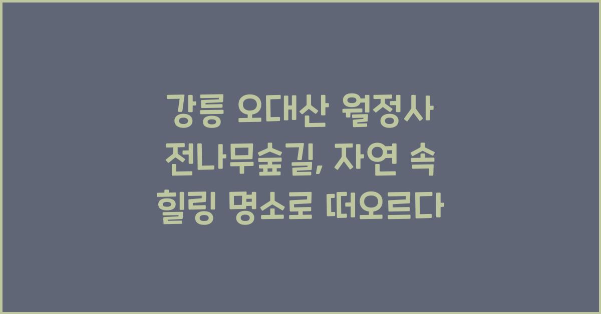 강릉 오대산 월정사 전나무숲길