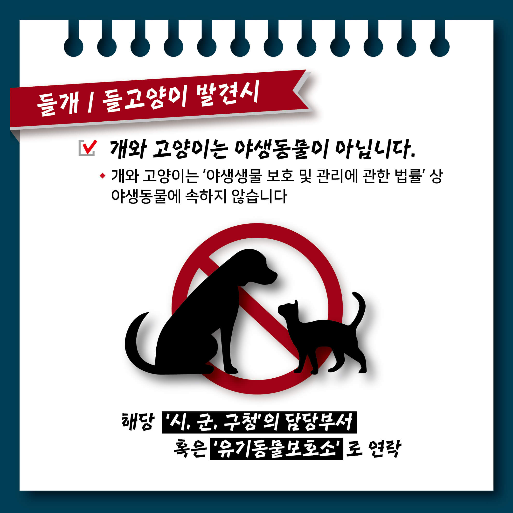 가을 단풍 여행지 추천 장소 _ 두륜산&amp;#44; 무등산&amp;#44; 내장산&amp;#44; 계룡산&amp;#44; 북한산 