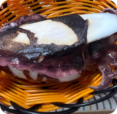 스타의고장 다찌 한상 통영 맛집