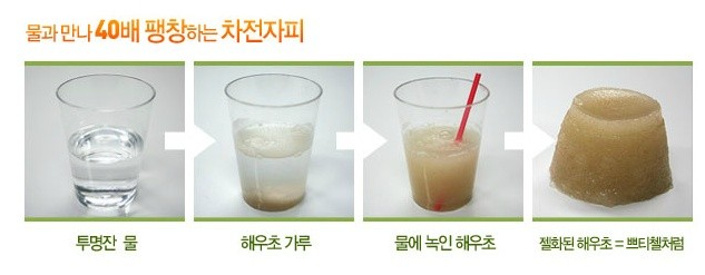 차전자피의 위엄