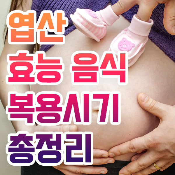  엽산 효능 음식 임산부 복용시기 아직도 모른다면