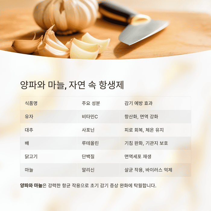 건강 의료