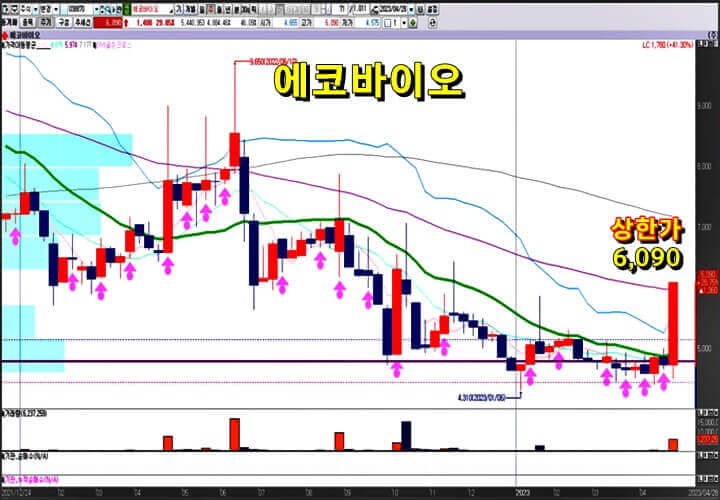 에코-바이오-주봉-차트