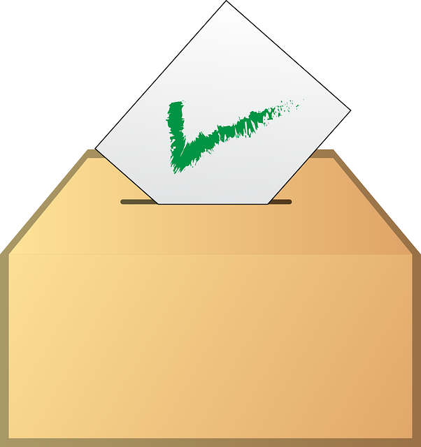 제22대 국회의원선거 사전투표 관외선거인