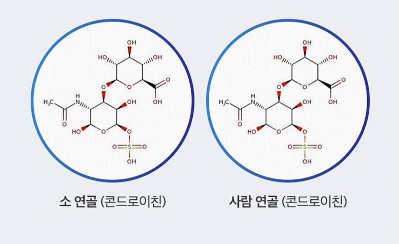 화학기호-설명글