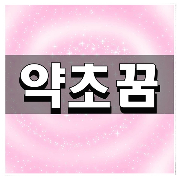  약초꿈 정황별 베스트 총정리