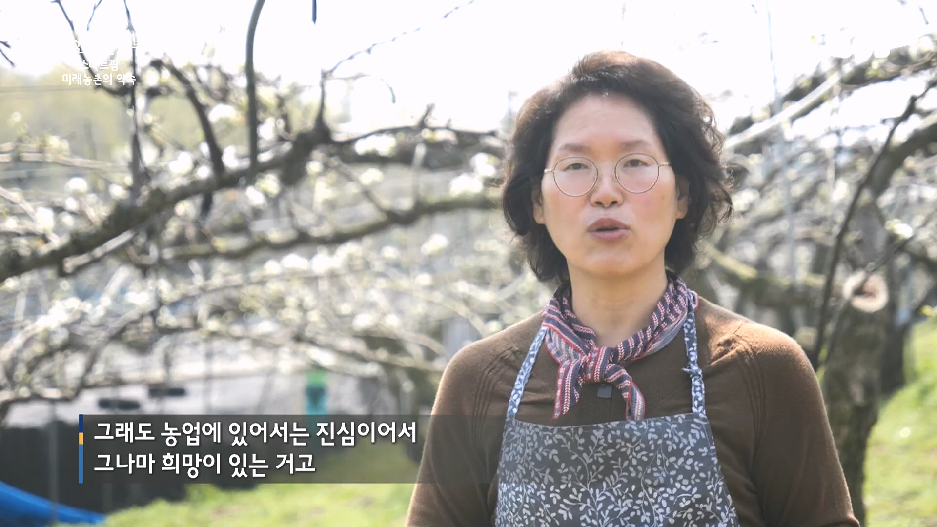 일요 특선 다큐멘터리.E348.240804p.H264-F1RST.mp4_20240805_201502.089.jpg