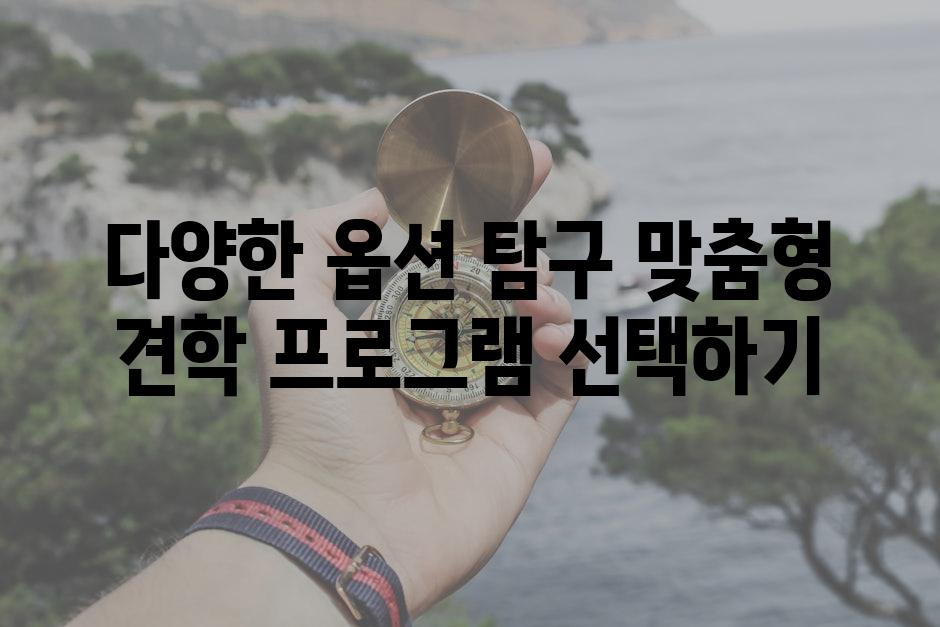 다양한 옵션 탐구 맞춤형 견학 프로그램 선택하기