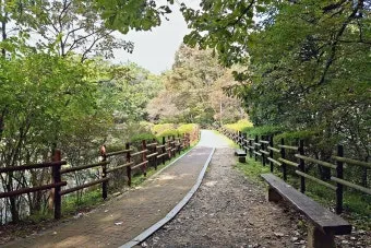 숨겨진 힐링 명소로 떠나는 포천 광릉수목원 완전 정복 가이드북 2025_29