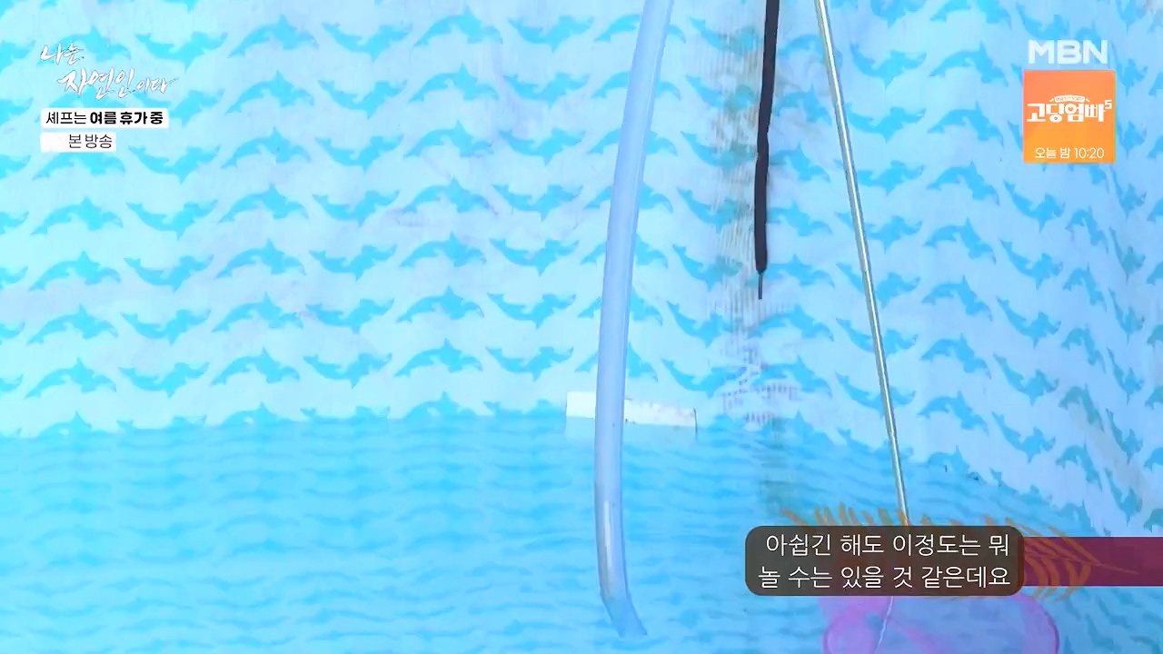 나는 자연인이다.E611.240627p-NEXT.mp4_20240627_195606.847.jpg