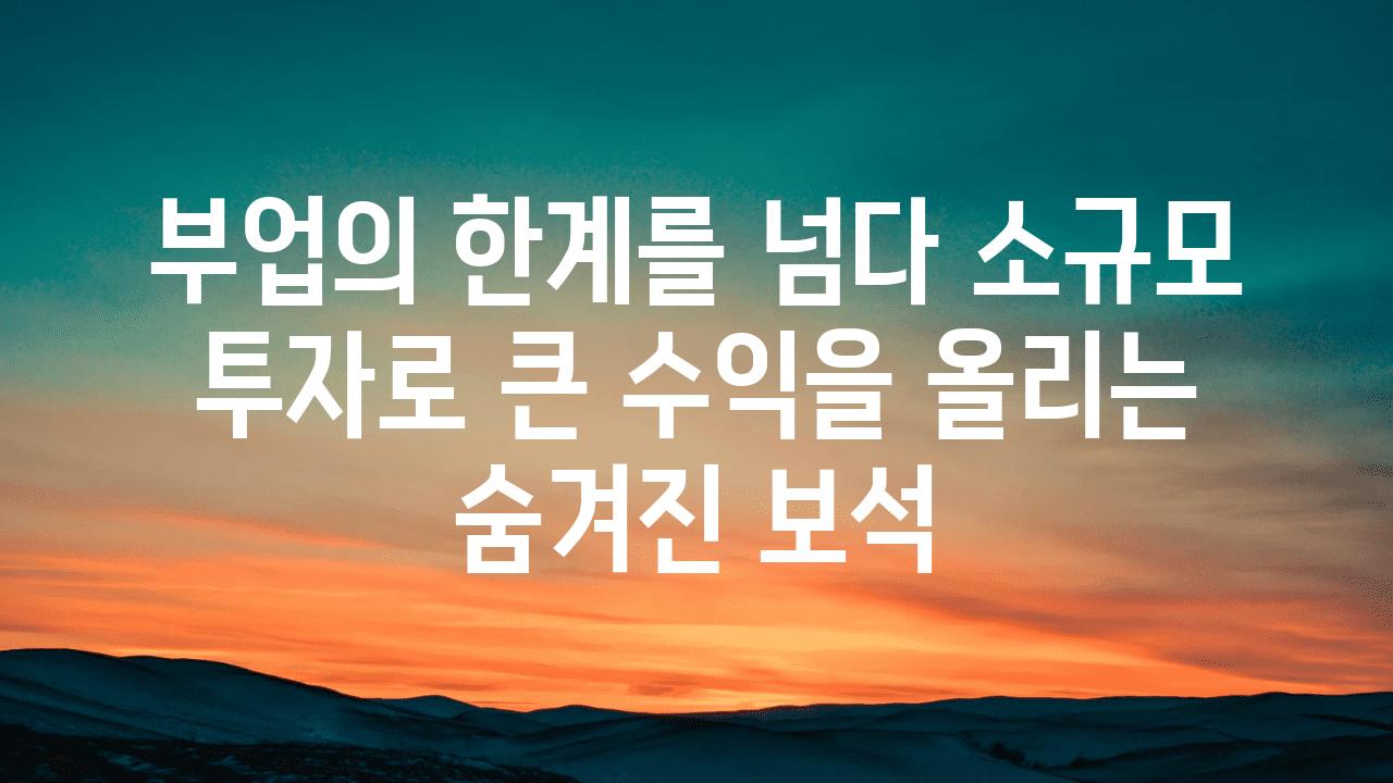 부업의 한계를 넘다 소규모 투자로 큰 수익을 올리는 숨겨진 보석