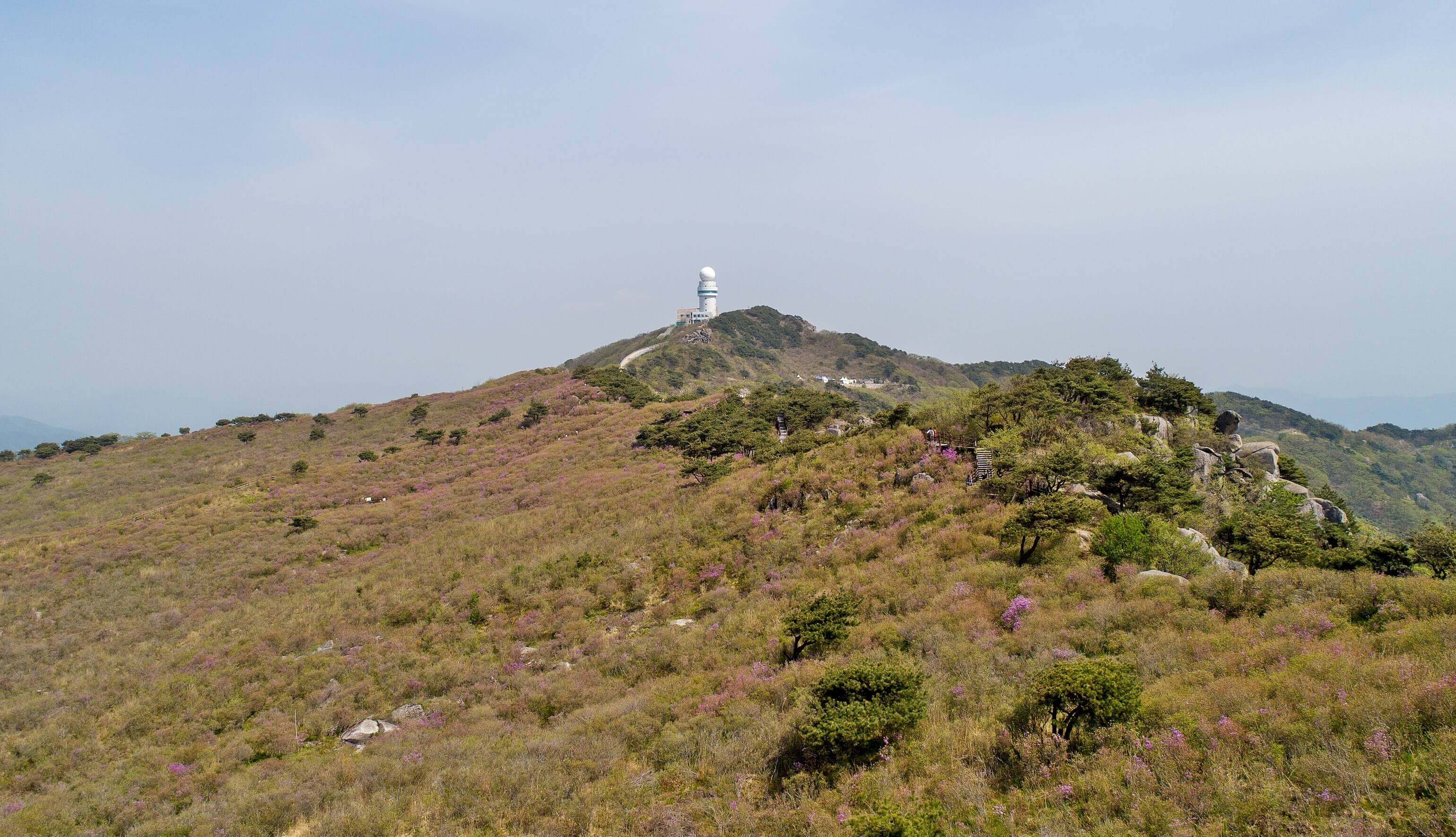 비슬산