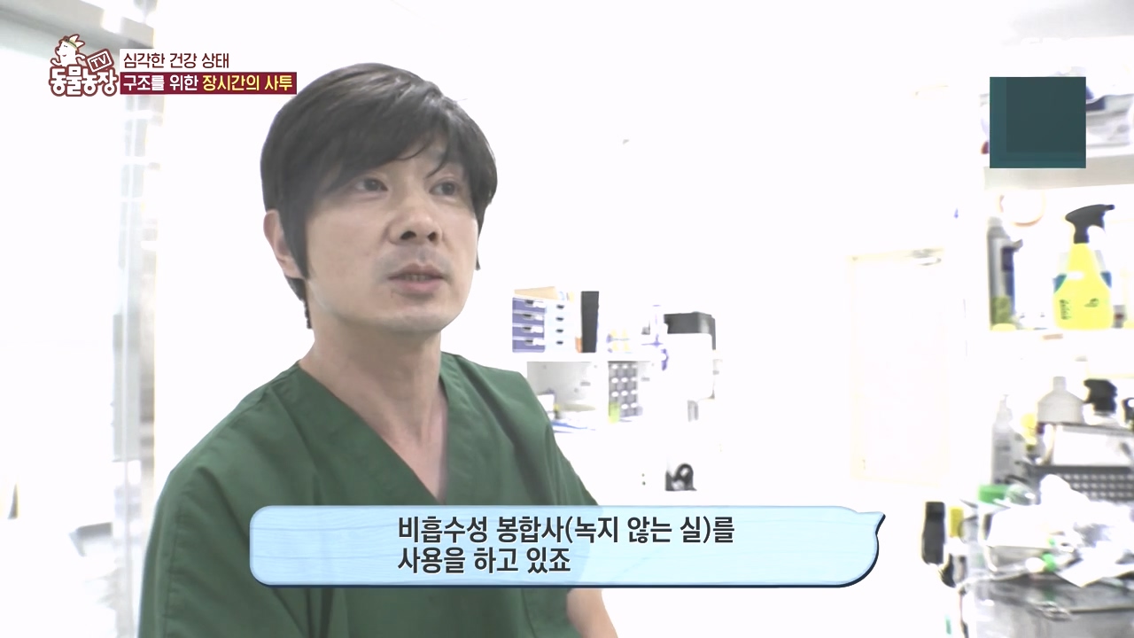 TV 동물농장.E1142.231023p-NEXT.mp4_20231022_172852.314.jpg
