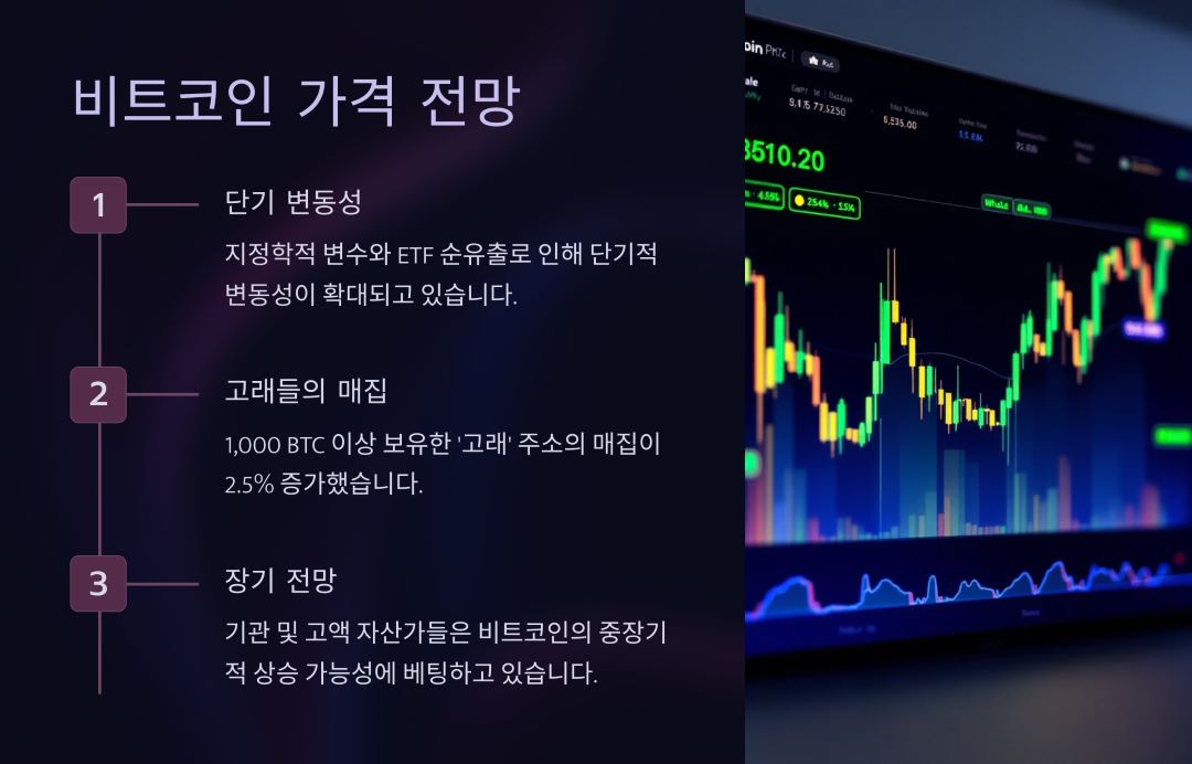 비트코인 가격 전망