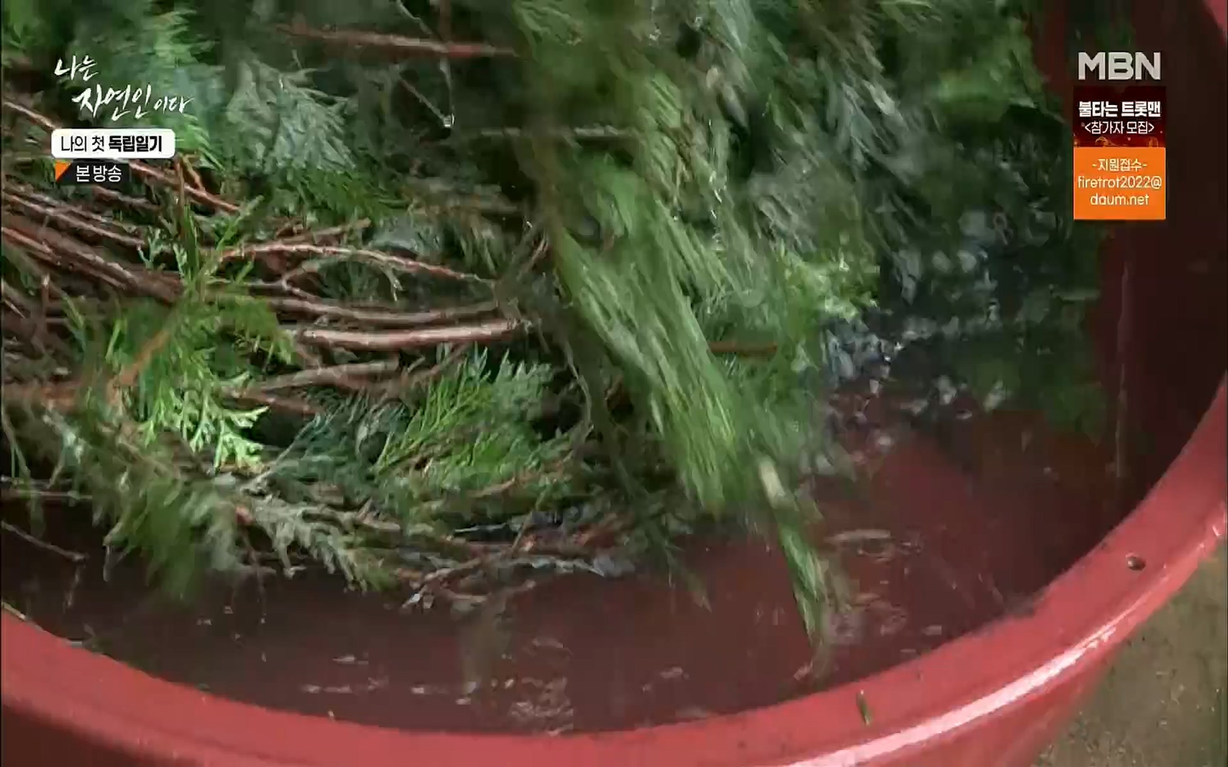 나는 자연인이다.E511.220720p.H264-F1RST.mp4_20220721_201113.652.jpg