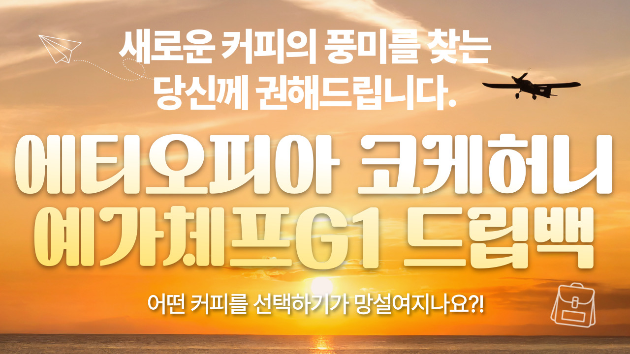 코케 이미지