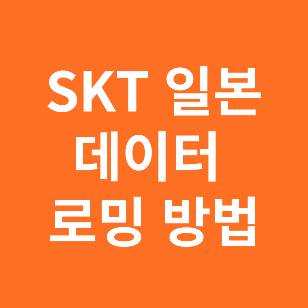 SKT 일본 데이터 로밍 방법