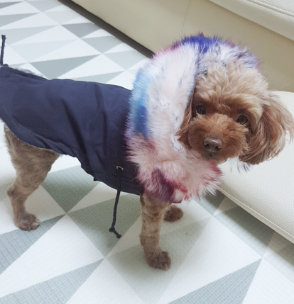 먹을끼니 이미지