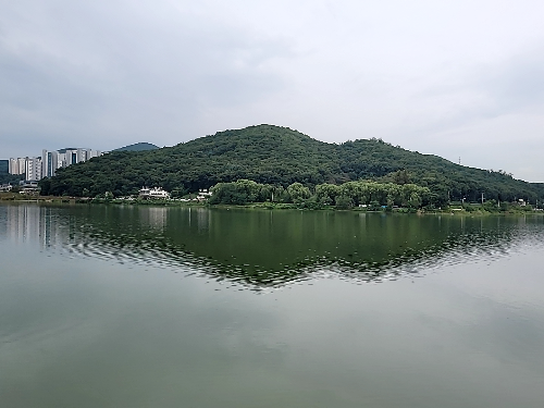  시흥 [물왕호수] 서울근교 드라이브, 산책하기 좋은곳.