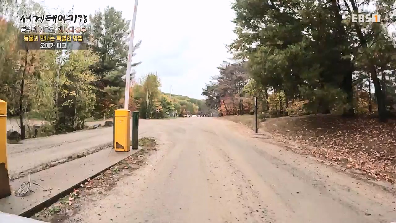 세상의모든기행꿈꾸던 가을로 캐나다 동부-다시 올 이유, 단풍국.mp4_20231127_205046.965.jpg