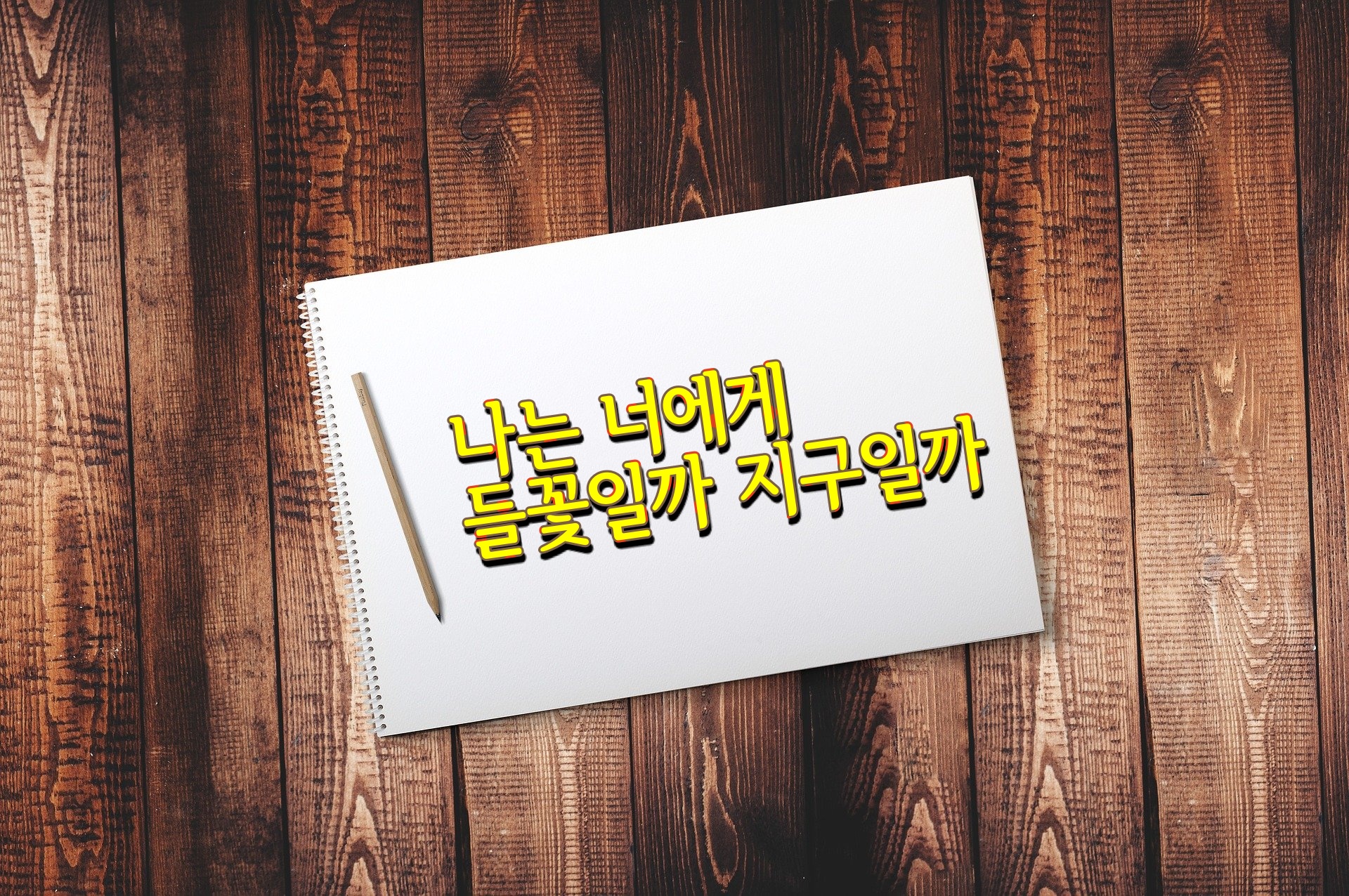  나는 너에게 들꽃일까, 지구일까