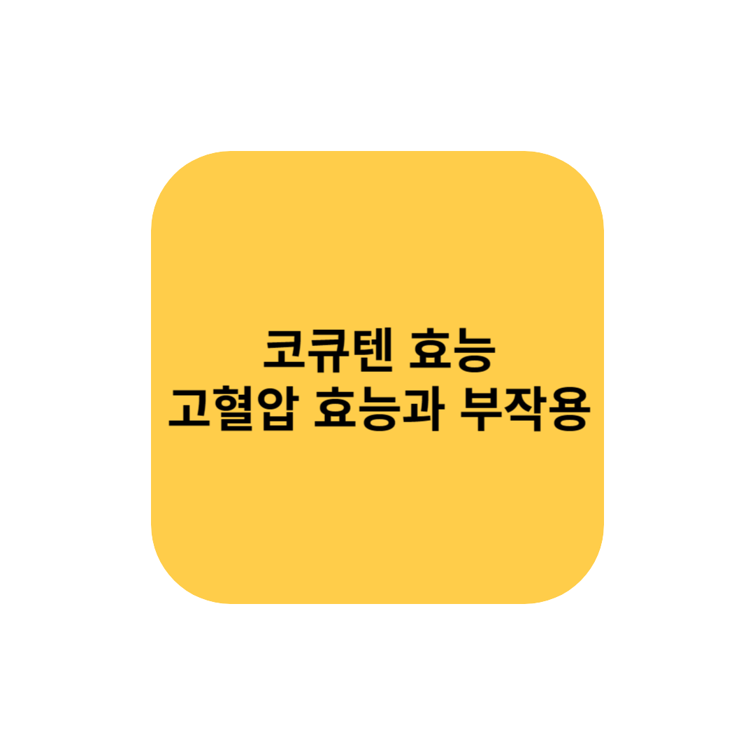 코큐텐 효능