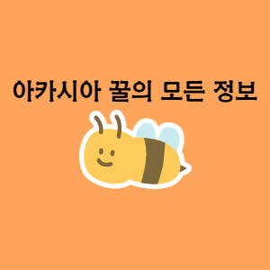  아카시아 꿀 효능과 부작용은 어떤게 있을까요