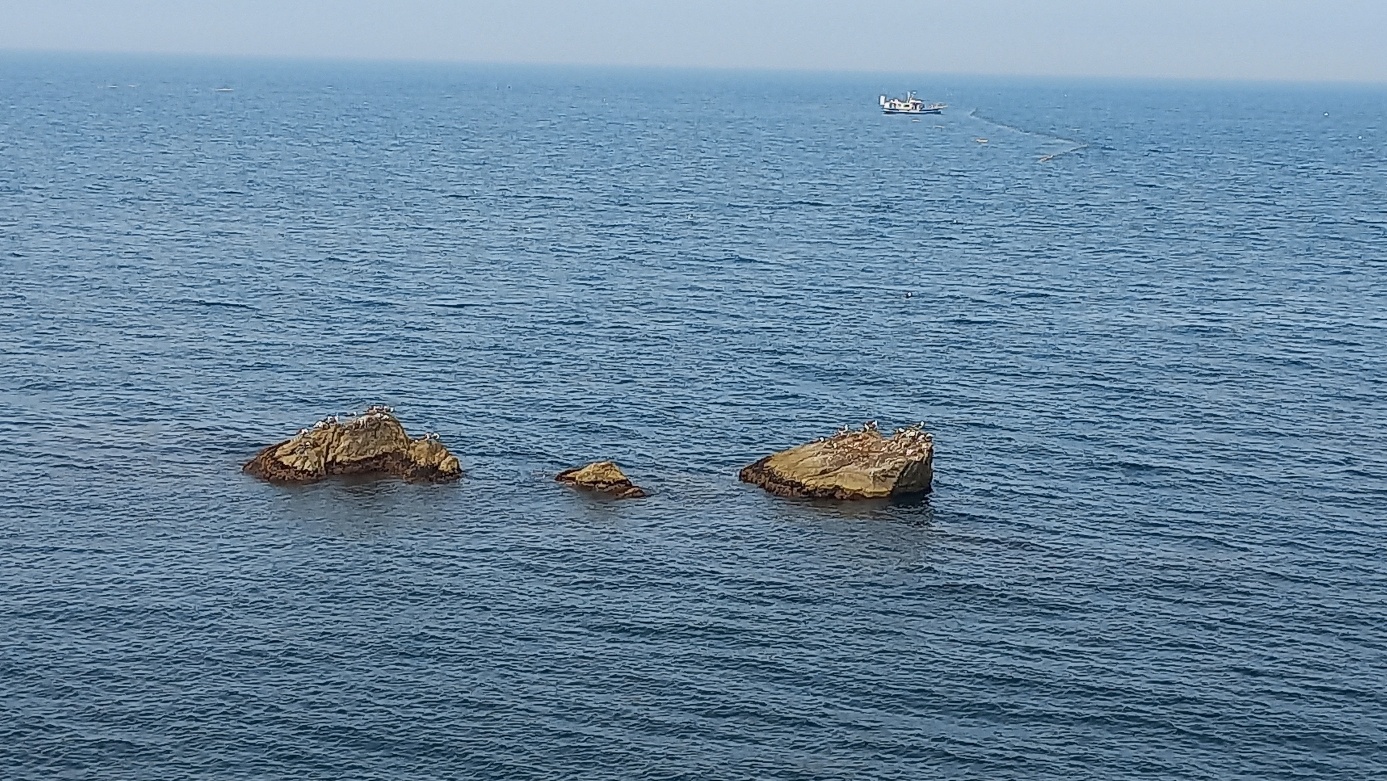 삼척바다