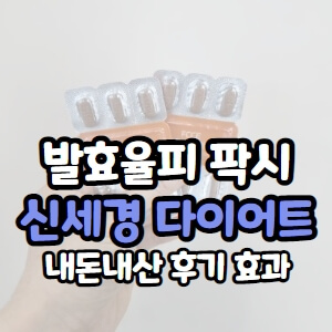 발효 밤피 효능 다이어트와 피부에 좋은 3