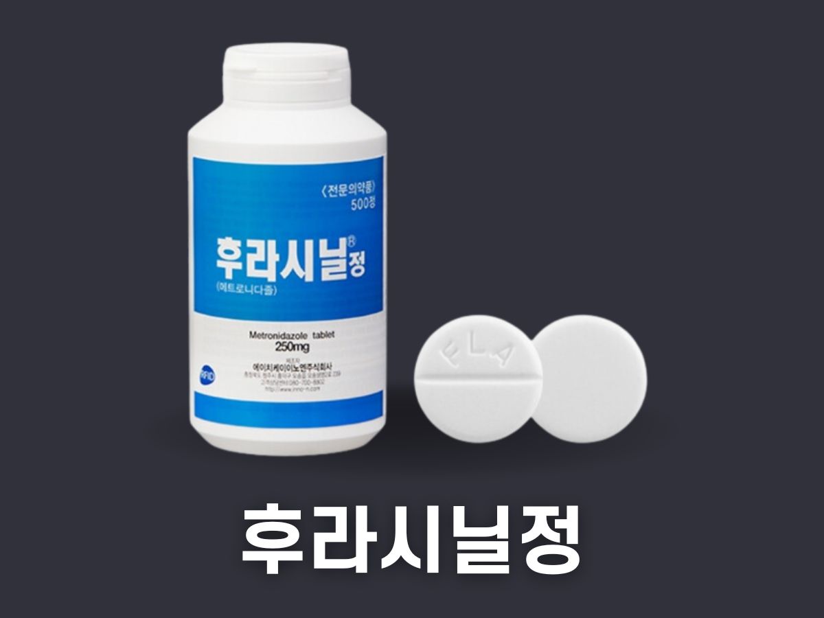 후라시닐정 술 부작용 항생제 (방광염 질염 치료제) 후라시닐정 술 부작용 항생제 (방광염 질염 치료제)