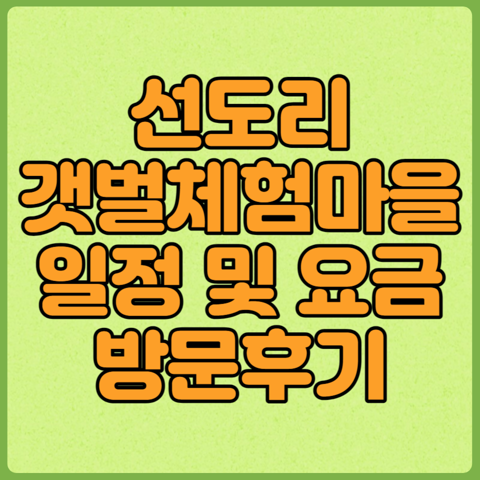 선도리갯벌