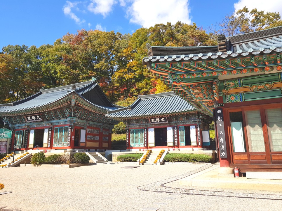 장소! 칠불사의 가을 풍경을 감상하세요:) 하동칠불사의 가을 멋진 자태를 품은 42