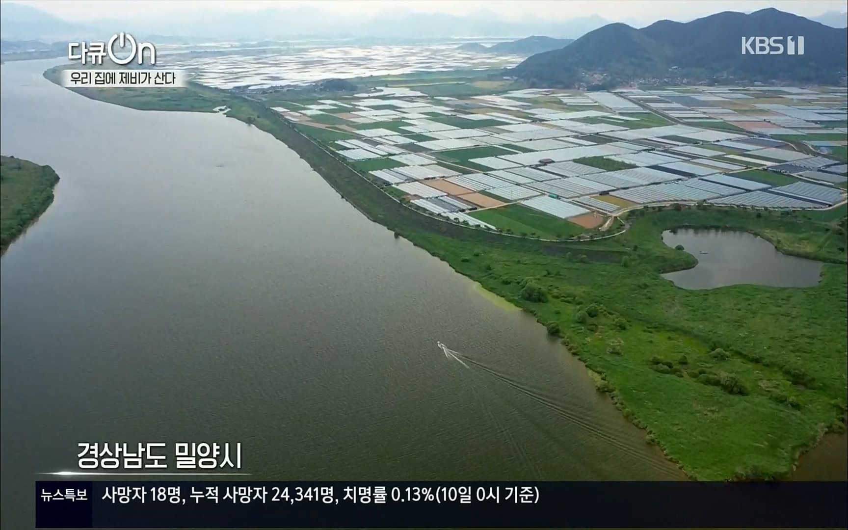 다큐 On.E143.220610p.H264-F1RST.mp4_20220613_200603.796.jpg