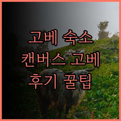 고베 여행 필수 숙소 더 로열 파크 