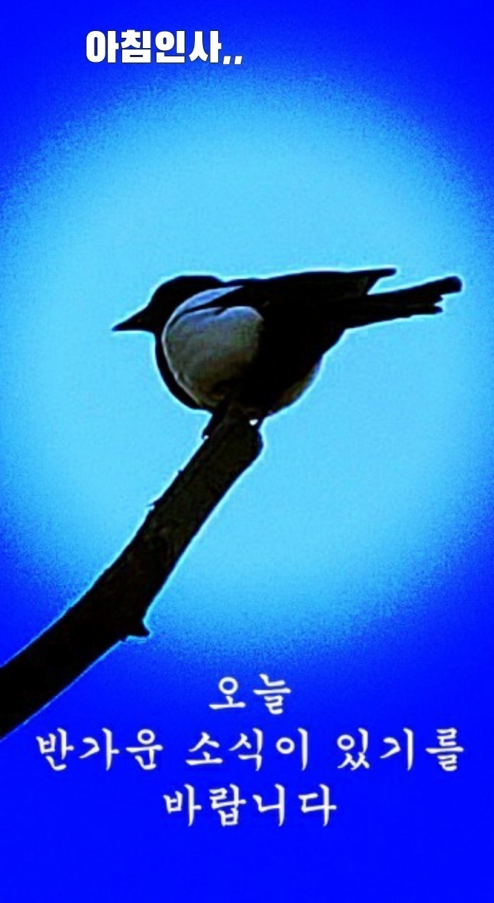 모임커피 이미지
