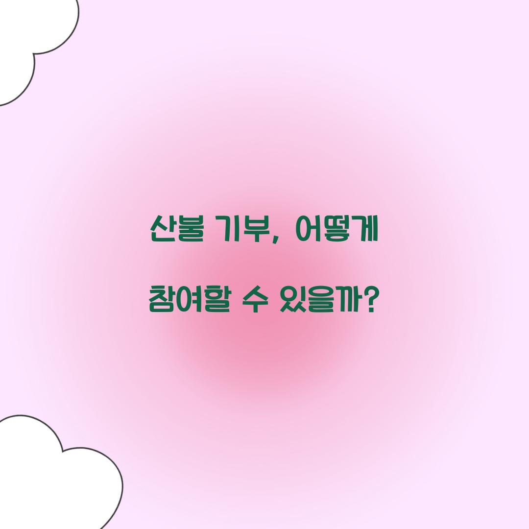 산불 기부