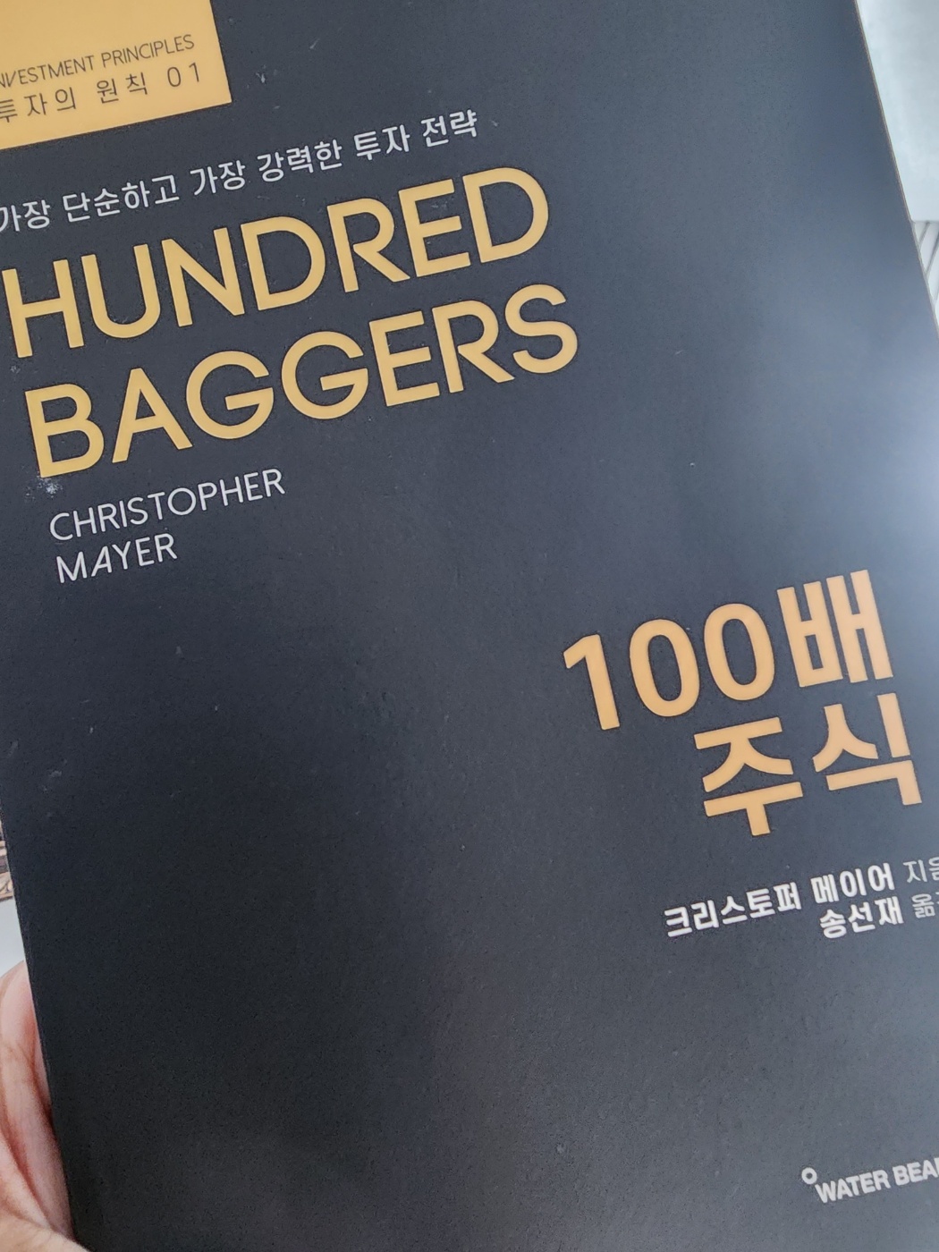 100배 주식 책 표지