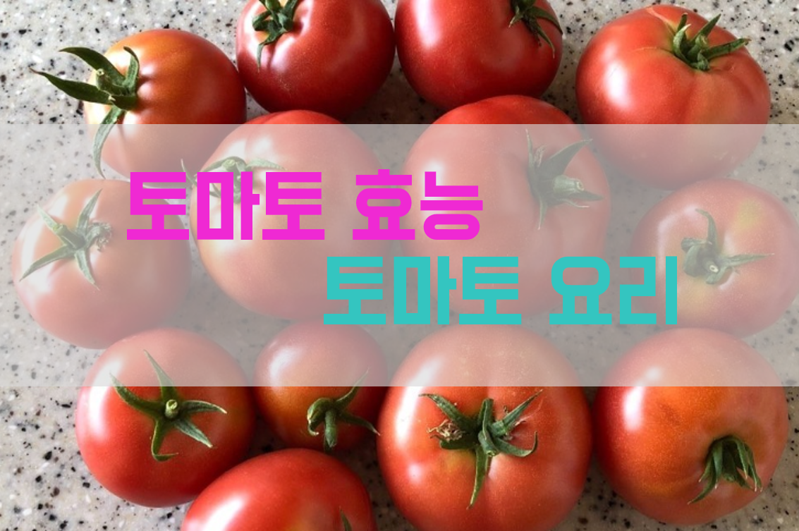  슈퍼푸드 토마토 효능과 간단한 토마토 요리 (for 1인가구)