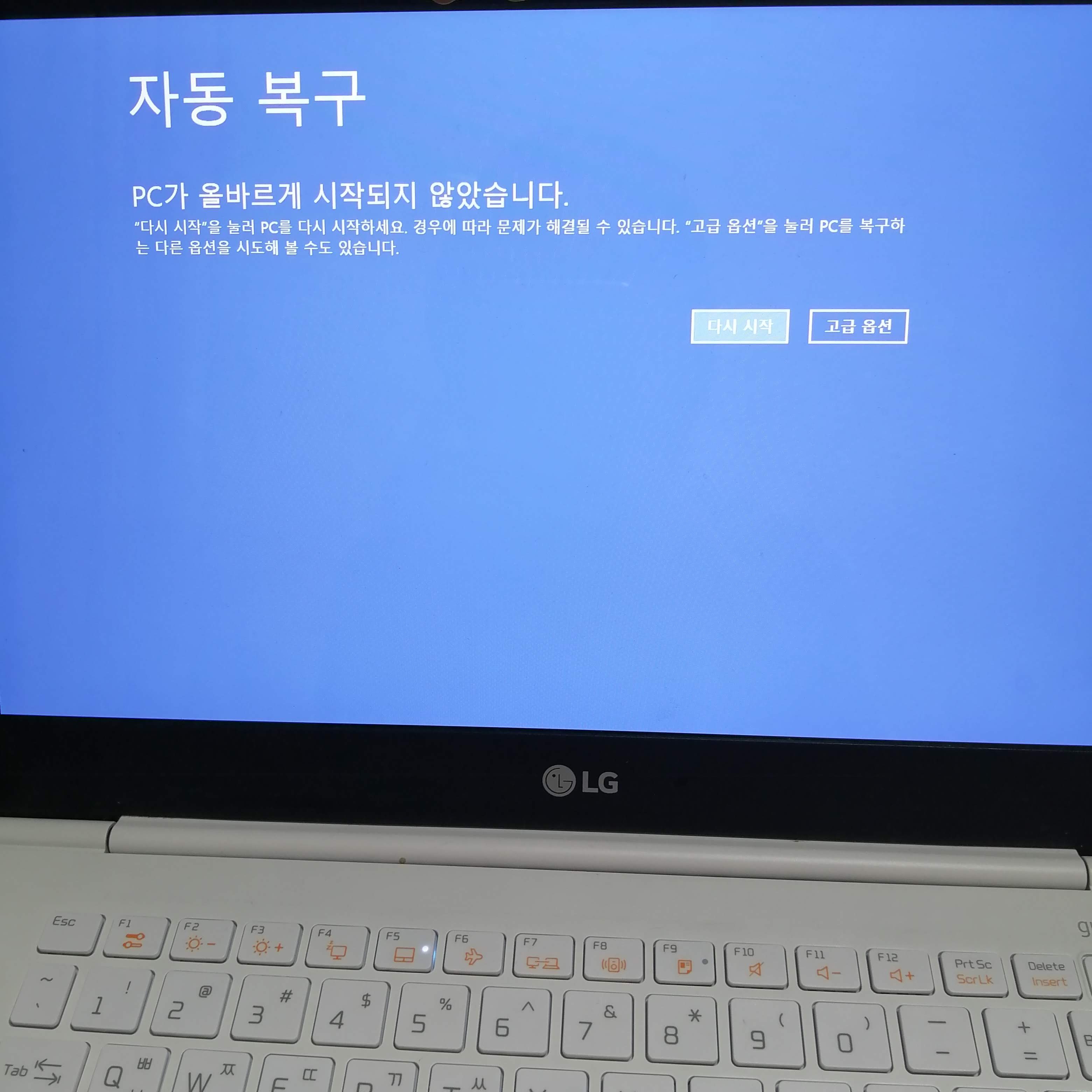  엘지 그램 자동 복구 오류 해결하기 (usb로 윈도우10 재설치)